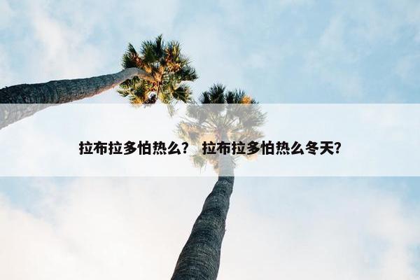 拉布拉多怕热么？ 拉布拉多怕热么冬天？