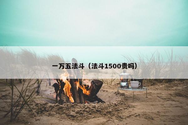一万五法斗（法斗1500贵吗）
