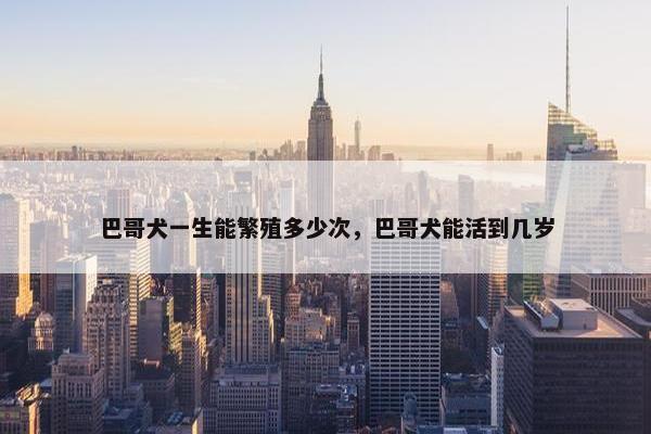 巴哥犬一生能繁殖多少次，巴哥犬能活到几岁