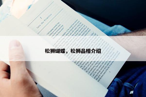 松狮蝴蝶，松狮品相介绍