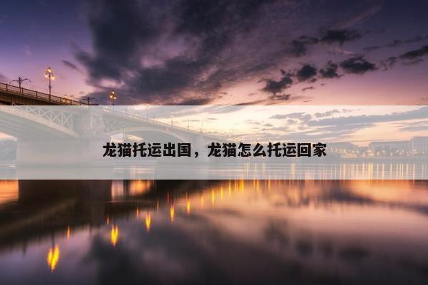 龙猫托运出国，龙猫怎么托运回家