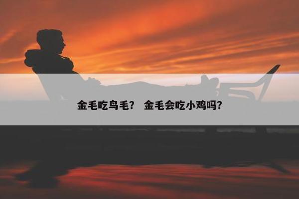 金毛吃鸟毛？ 金毛会吃小鸡吗？