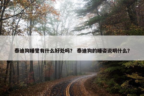 泰迪狗睡觉有什么好处吗？ 泰迪狗的睡姿说明什么？