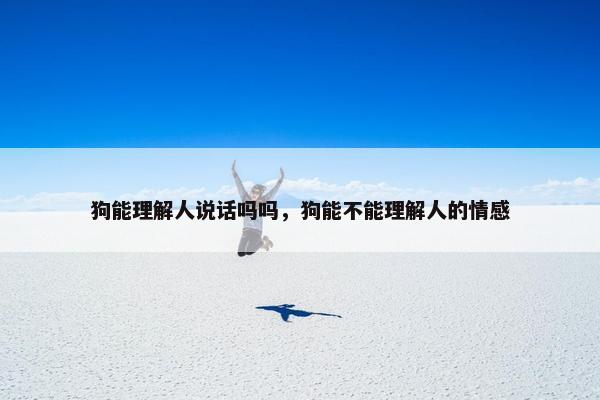 狗能理解人说话吗吗，狗能不能理解人的情感