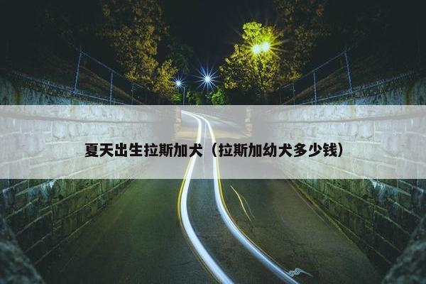 夏天出生拉斯加犬（拉斯加幼犬多少钱）
