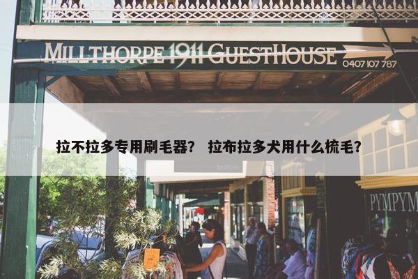 拉不拉多专用刷毛器？ 拉布拉多犬用什么梳毛？