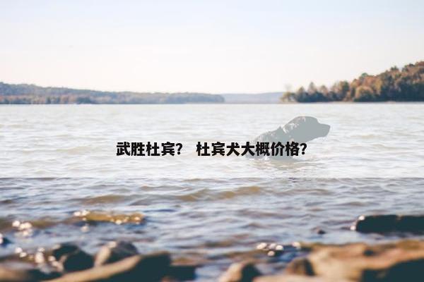 武胜杜宾？ 杜宾犬大概价格？