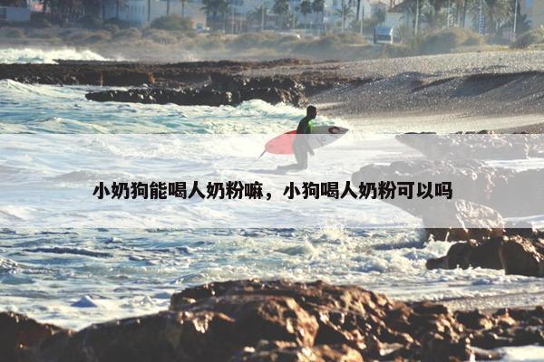 小奶狗能喝人奶粉嘛，小狗喝人奶粉可以吗