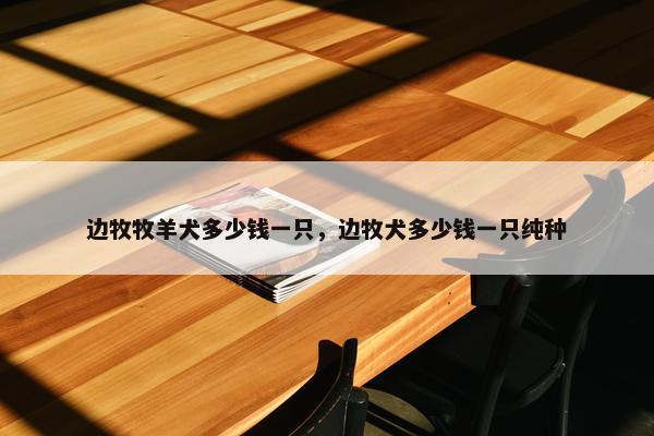 边牧牧羊犬多少钱一只，边牧犬多少钱一只纯种