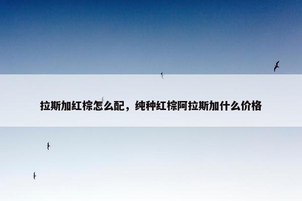 拉斯加红棕怎么配，纯种红棕阿拉斯加什么价格