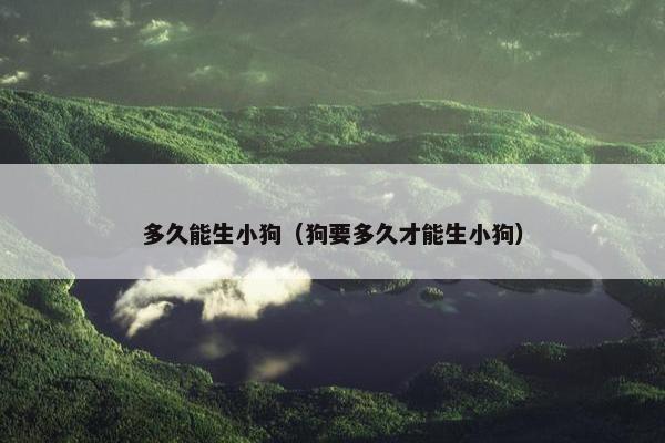 多久能生小狗（狗要多久才能生小狗）