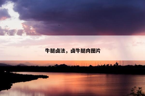 牛腿卤法，卤牛腿肉图片