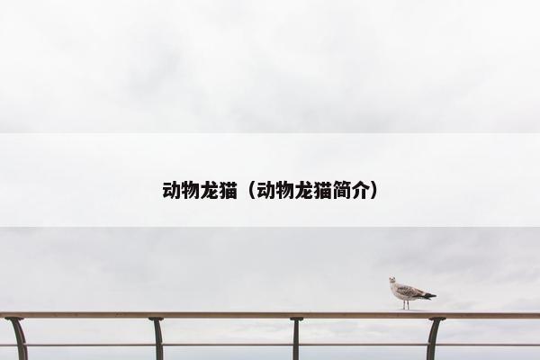 动物龙猫（动物龙猫简介）