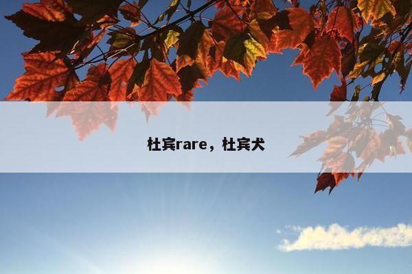 杜宾rare，杜宾犬