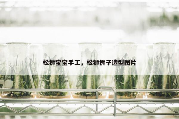 松狮宝宝手工，松狮狮子造型图片