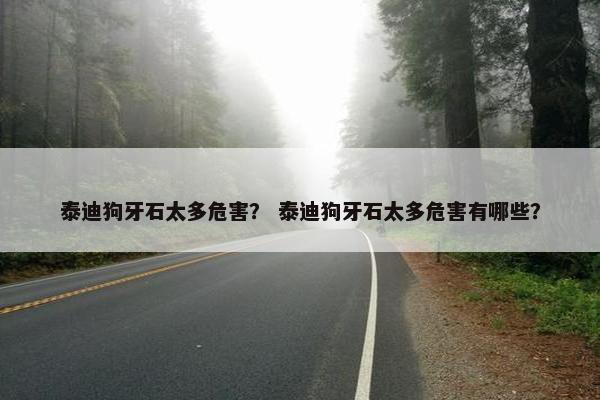 泰迪狗牙石太多危害？ 泰迪狗牙石太多危害有哪些？