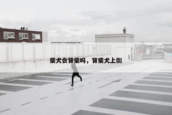 柴犬会背柴吗，背柴犬上街