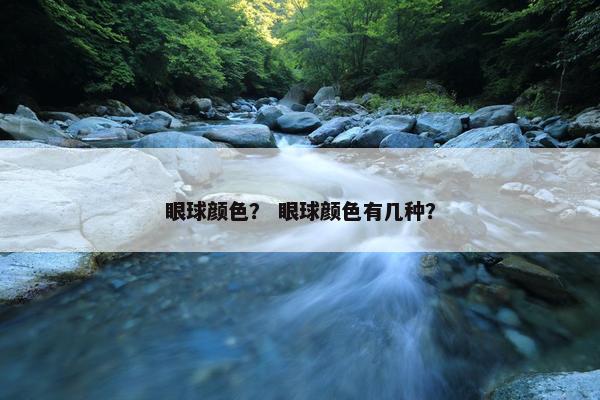 眼球颜色？ 眼球颜色有几种？