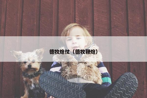德牧炮仗（德牧鞭炮）