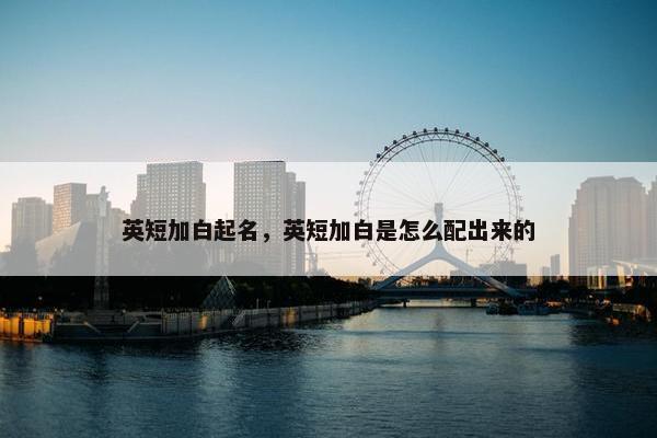英短加白起名，英短加白是怎么配出来的