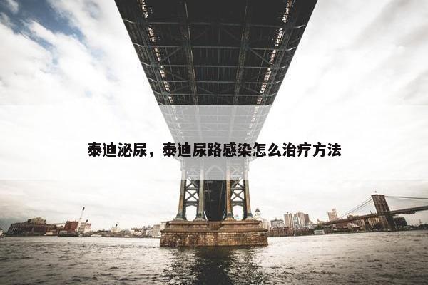 泰迪泌尿，泰迪尿路感染怎么治疗方法