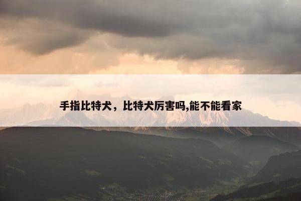 手指比特犬，比特犬厉害吗,能不能看家