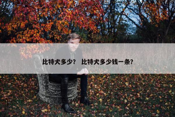 比特犬多少？ 比特犬多少钱一条？