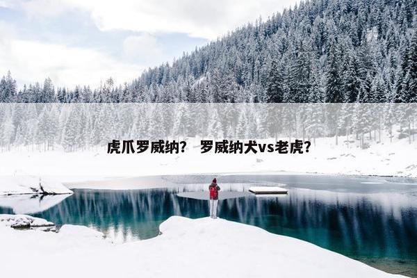 虎爪罗威纳？ 罗威纳犬vs老虎？
