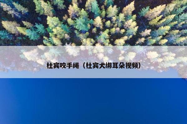 杜宾咬手绳（杜宾犬绑耳朵视频）
