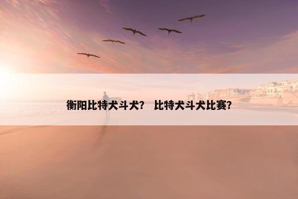 衡阳比特犬斗犬？ 比特犬斗犬比赛？
