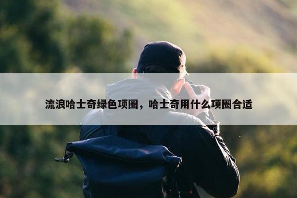 流浪哈士奇绿色项圈，哈士奇用什么项圈合适