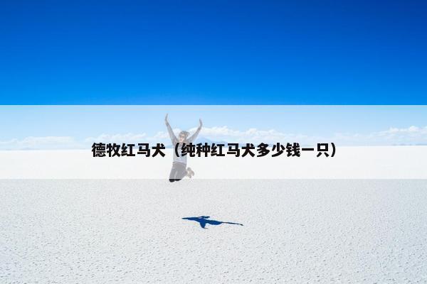 德牧红马犬（纯种红马犬多少钱一只）