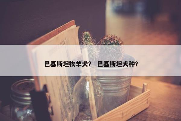 巴基斯坦牧羊犬？ 巴基斯坦犬种？