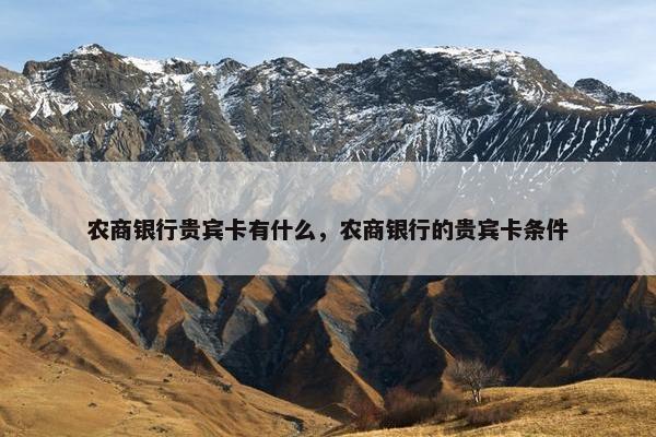 农商银行贵宾卡有什么，农商银行的贵宾卡条件