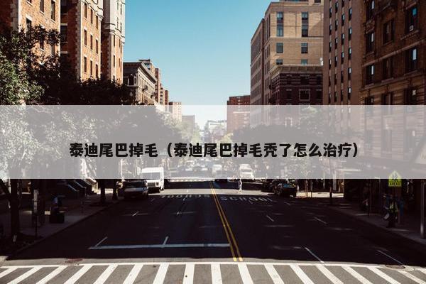 泰迪尾巴掉毛（泰迪尾巴掉毛秃了怎么治疗）
