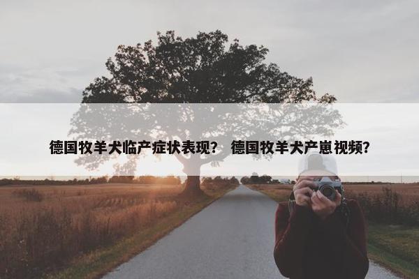德国牧羊犬临产症状表现？ 德国牧羊犬产崽视频？