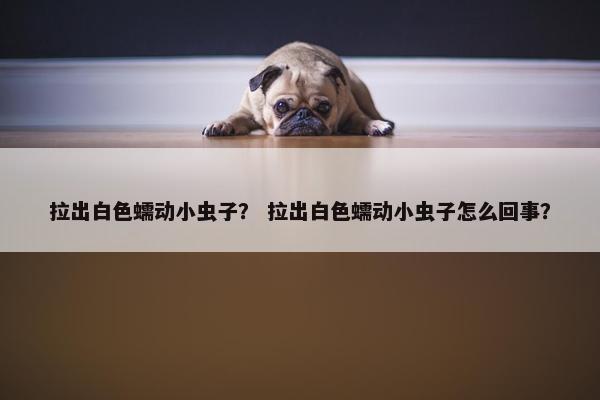 拉出白色蠕动小虫子？ 拉出白色蠕动小虫子怎么回事？