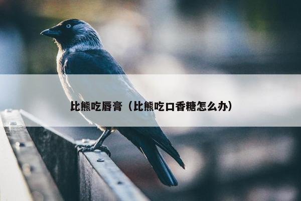 比熊吃唇膏（比熊吃口香糖怎么办）