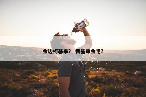 金边柯基串？ 柯基串金毛？