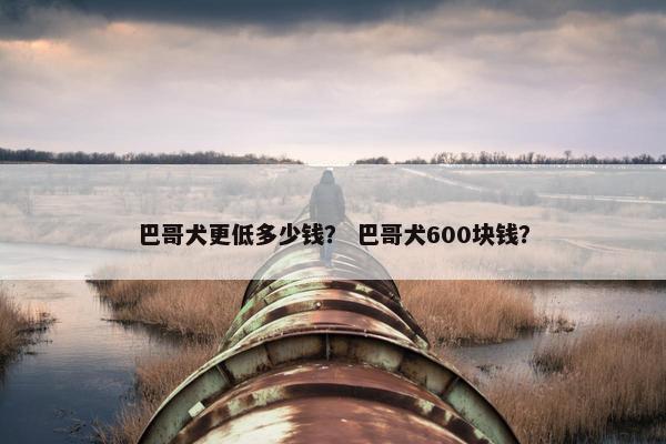 巴哥犬更低多少钱？ 巴哥犬600块钱？