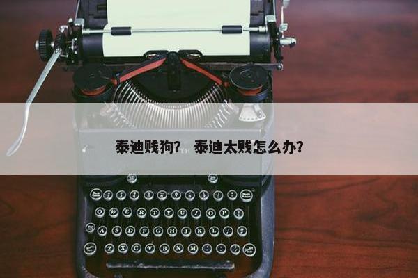 泰迪贱狗？ 泰迪太贱怎么办？