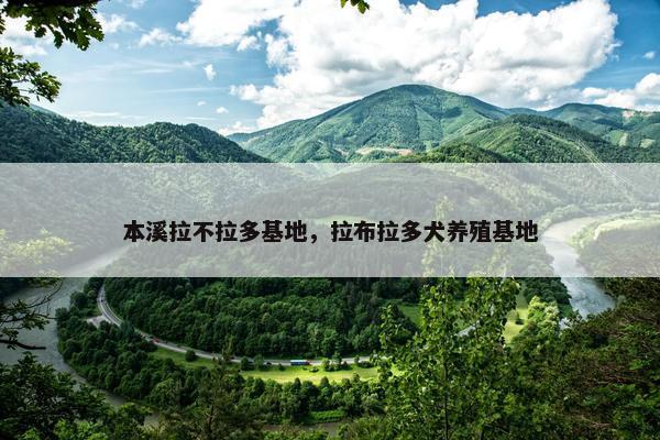 本溪拉不拉多基地，拉布拉多犬养殖基地