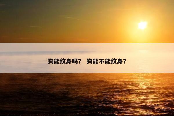 狗能纹身吗？ 狗能不能纹身？
