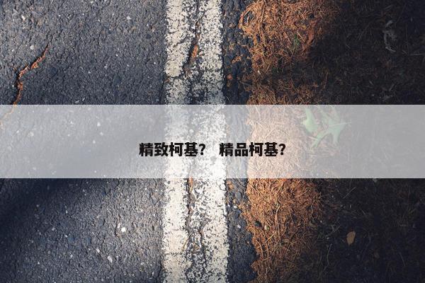 精致柯基？ 精品柯基？