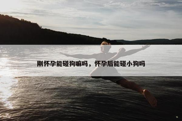 刚怀孕能碰狗嘛吗，怀孕后能碰小狗吗