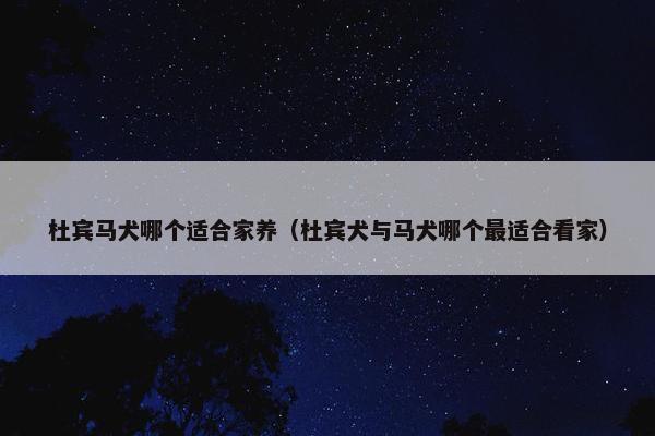 杜宾马犬哪个适合家养（杜宾犬与马犬哪个最适合看家）