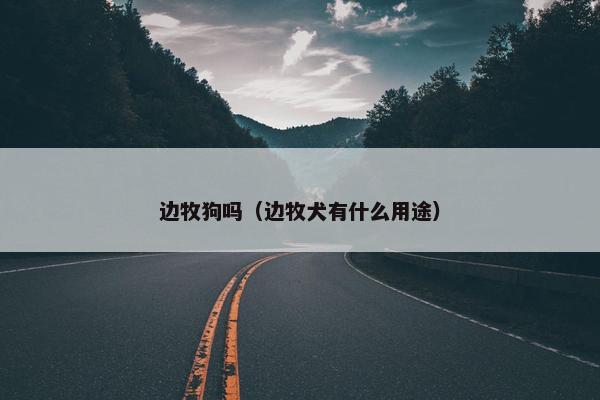 边牧狗吗（边牧犬有什么用途）