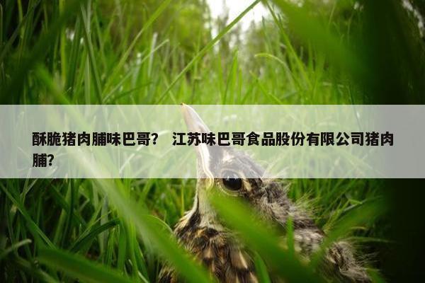 酥脆猪肉脯味巴哥？ 江苏味巴哥食品股份有限公司猪肉脯？