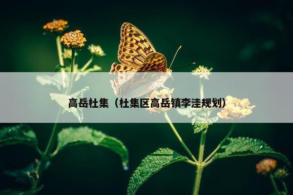 高岳杜集（杜集区高岳镇李洼规划）