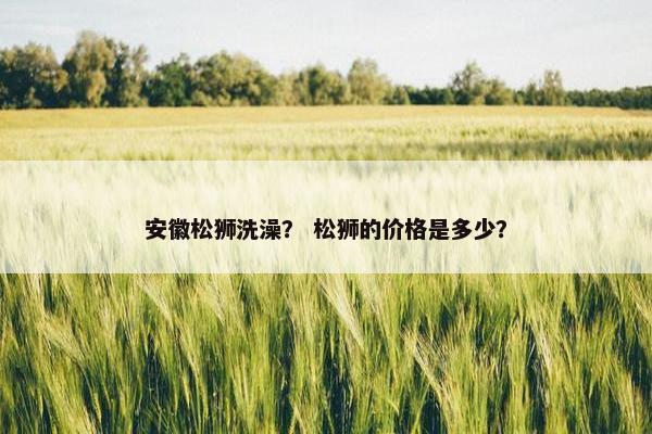 安徽松狮洗澡？ 松狮的价格是多少？